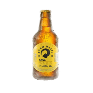 Cerveja Skol Puro Malte Garrafa 300ml – Caixa 24 Unidades